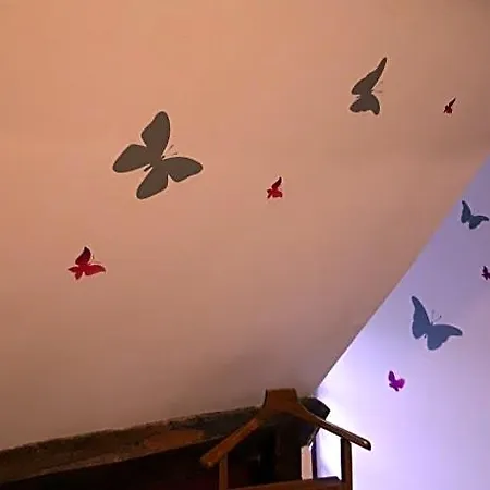 Le Suisse - Papillons B&B Le Vicel