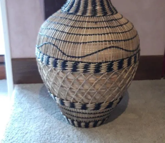 Le Suisse - Papillons Le Vicel